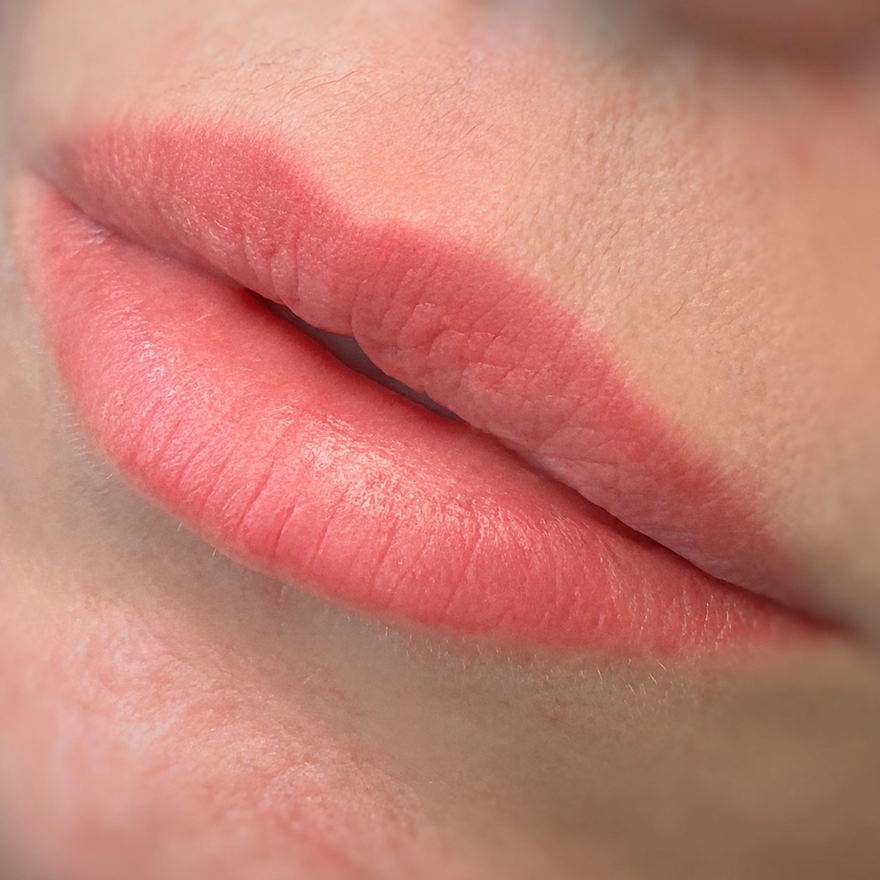 Resultado natural de micropigmentação labial